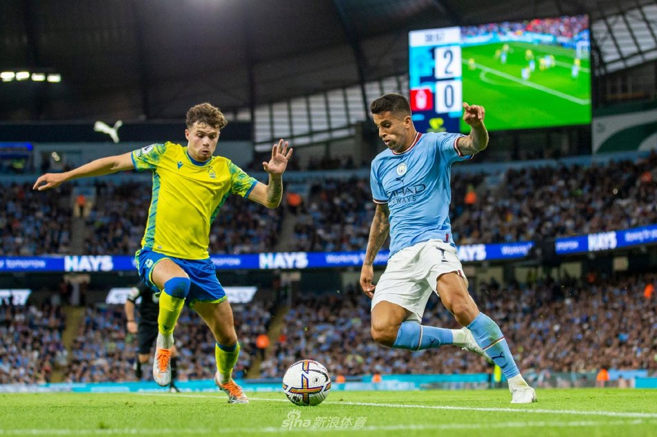 着他们竞技 着他们竞技