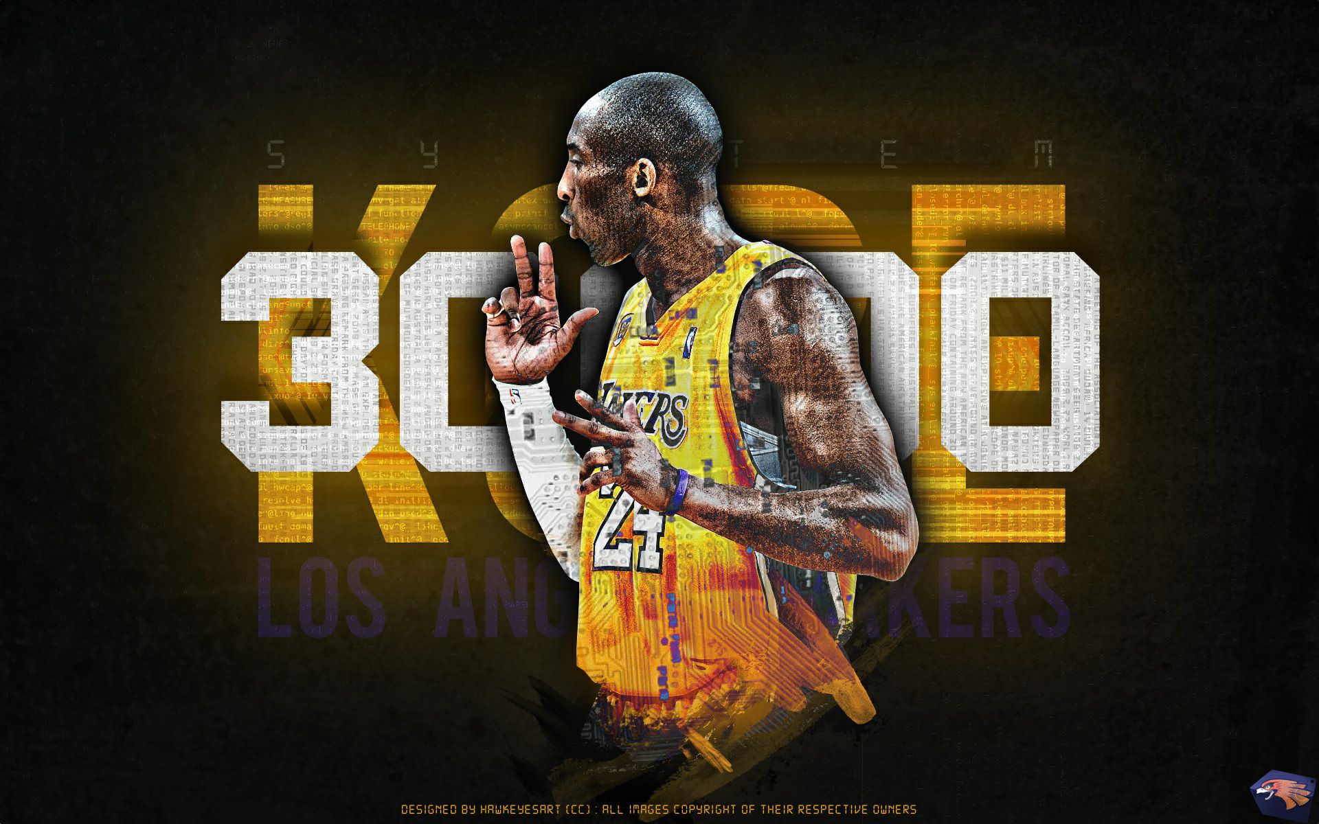 也抓住机会 也抓住机会