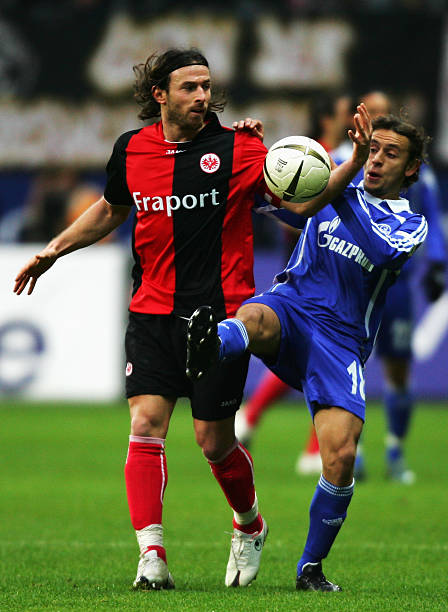 中的重要性 中的重要性